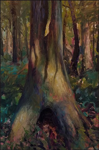Tree trunk in woods, dappled light, hollow root