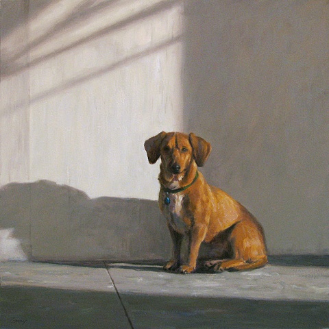 Interior, tan dog sitting next to white wall, sunlight and shadow,