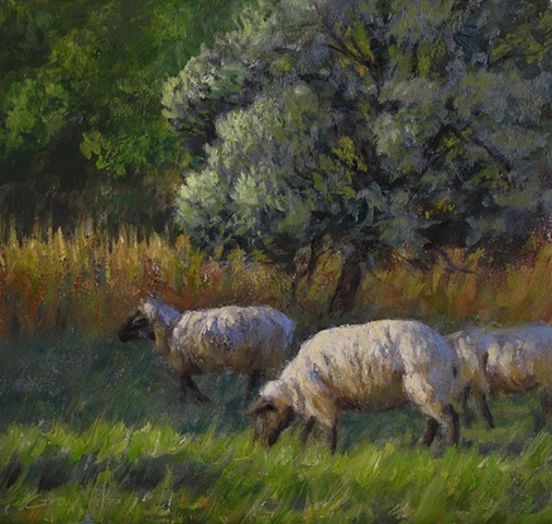 Sheep grazing green grass, trees behind, sunlight