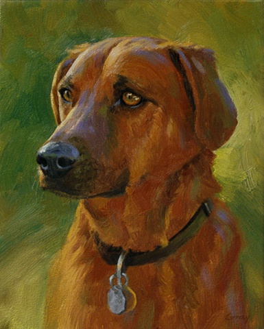 Animal portrait, dog, reddish-brown, green, yellow, violet