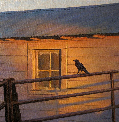 Early morning light on white shed with window, crow on fence rail in foreground