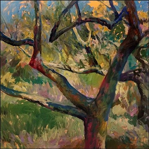 oil_painting, realist, landscape, painterly, impressionist, trees, olive_trees