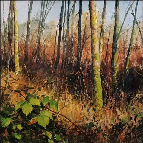 landscape, watercolor, trees, woods, sunlight, realist_painting, realism