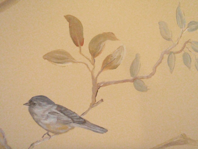 Close-up of bird detail