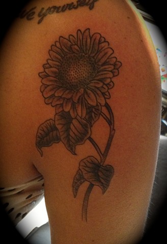 Providence, Prov, RI, Rhode Island, New England, Mass, Art Freek Tattoo, Good Tattoos flower daisy grey work black and gray