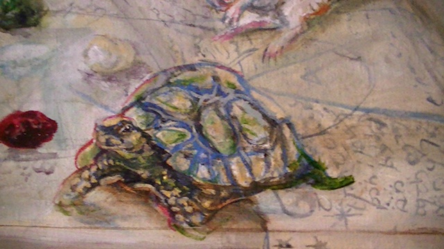 Self Portrait as Circe:Wood Turtle Detail