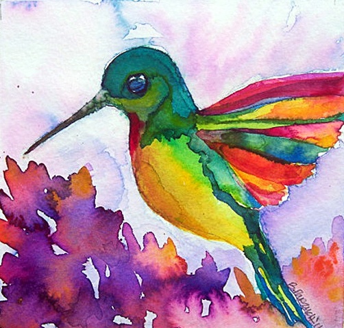 Alta Hummingbird