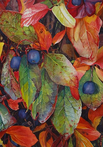 Watercolour, Calgary Artist, Conny Jager, Fall, Autumn, Leaves