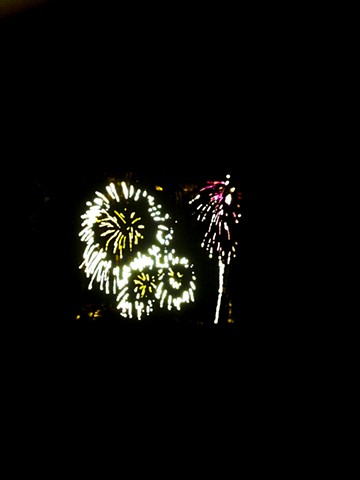 Fireworks, as Palm Tree 
