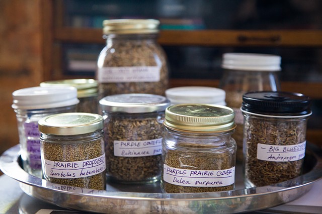 Jars of Chicago-area seeds for the seed bombs
