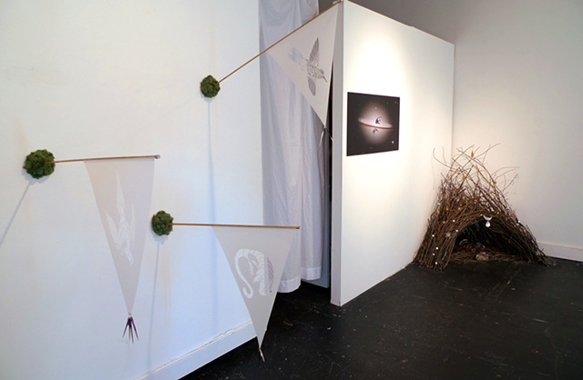Installation view of 'Extinction Pennants,' 'Endless Thylacine' & 'My Bower I'