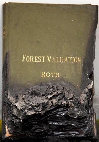 Forest Valuation