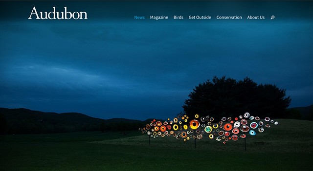'Birds Watching' from 'Indicators: Artists On Climate Change' at Storm King featured on the homepage of Audubon.org