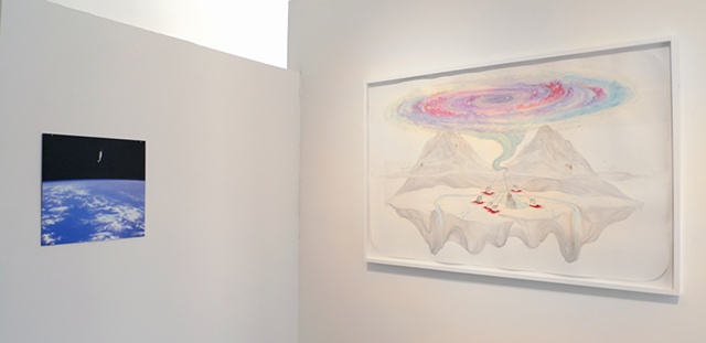 Installation view of 'Narwhal, Spacewalk' & 'Sanctuary (Narwhals)'