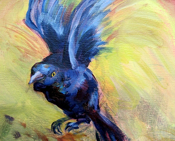 Acrylic painting of a grackle