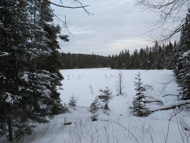 Frozen Lac Jeannie