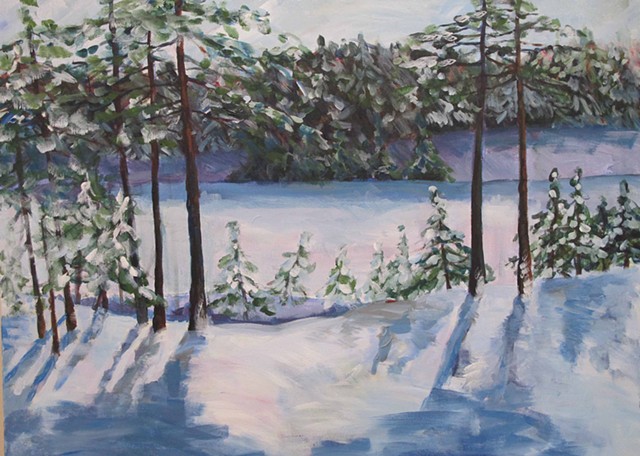 Forêt du Lac Jeannie, hiver 3