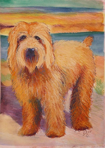 Water colour and pastel painting of a wheaton terrier mix