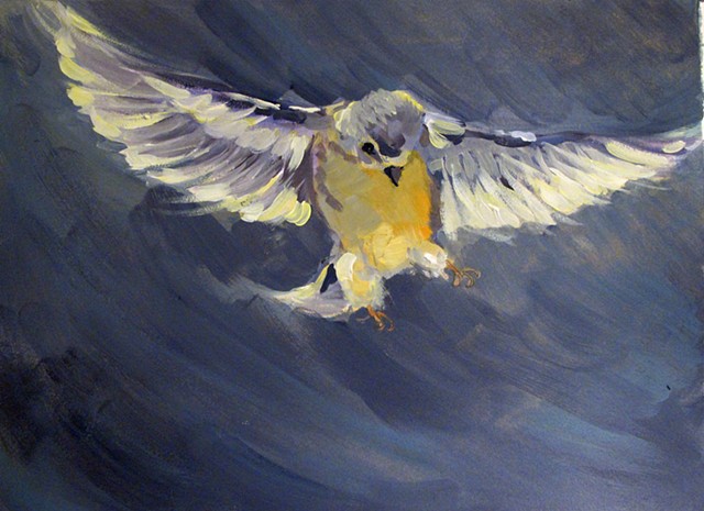 Goldfinch flight