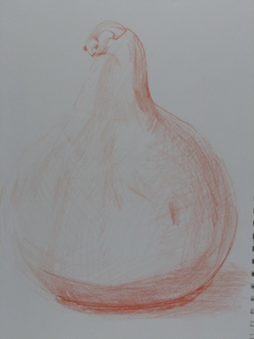 Gourd Sketch