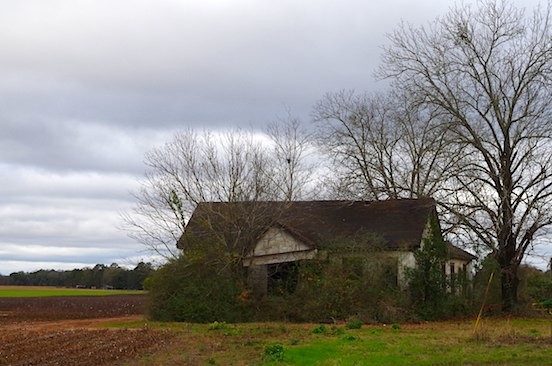 Abandoned Farmhouse. Colomokee, GA.