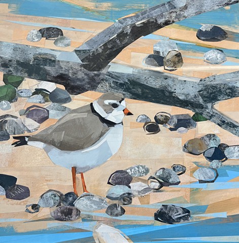 Plover and Pebbles