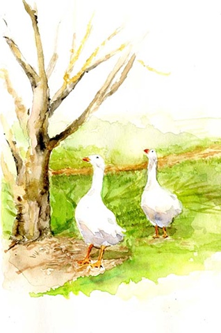 geese, watercolour, vintage, illustration