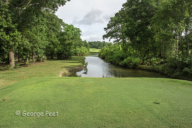 9th hole _ Forest Course _The Clubs of Kingwood, TX