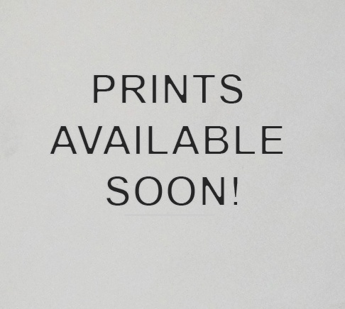 Prints coming soon!