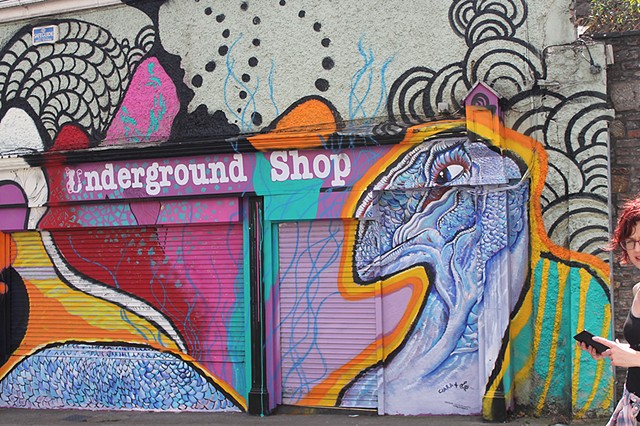 Waterford Walls festival (Artist collab with Ciara McKenna)