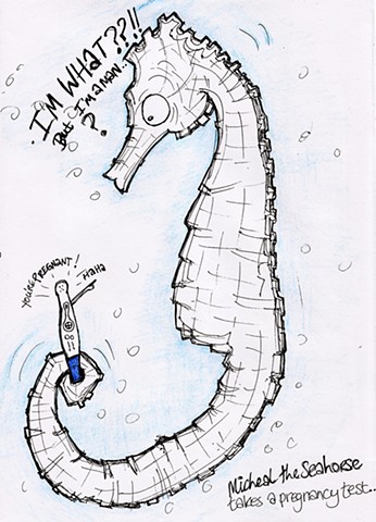 Fauna Friday - Michael the seahorse learns the hard way.. (Nobody told him that male seahorses go through pregnancy)