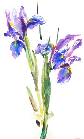 Watercolor Painting by Qing Song, Iris