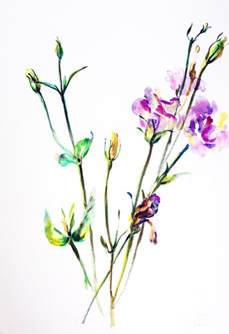 Watercolor Painting by Qing Song, Flower