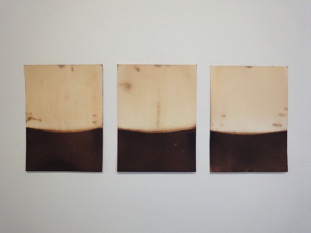 Parch series (installation view)