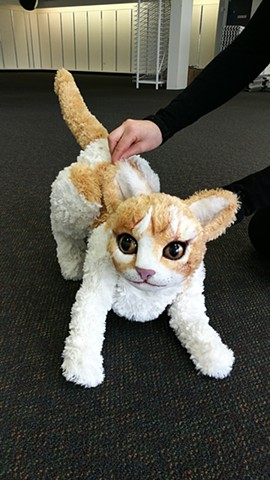 cat puppet for Terrapin