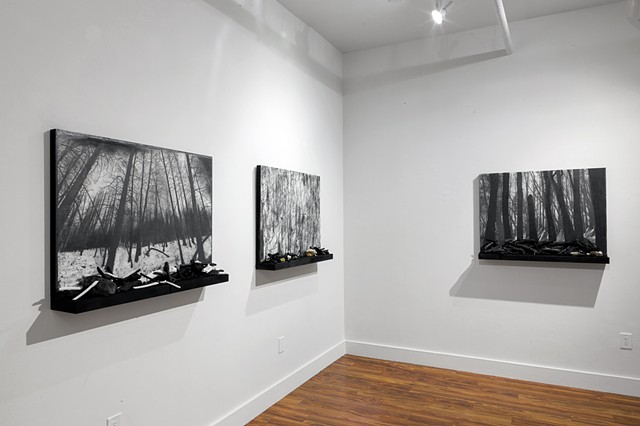 Installation view of solo exhibition 'Exposure' at Java Project
