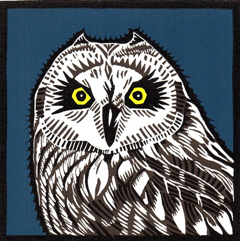 bird art, owl art, short-eared owl art, owl linocut, short-eared owl linocut, reduction linocut