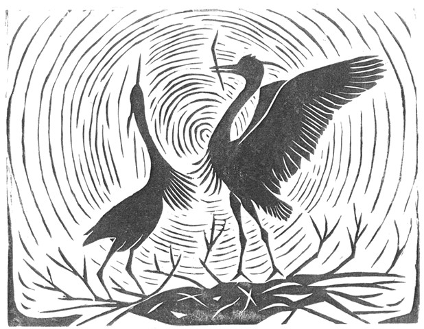  bird woodcut, great blue herons dancing woodcut, great blue heron art, bird art