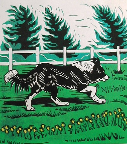 a 4-color woodcut, border collie running, border collie woodcut 