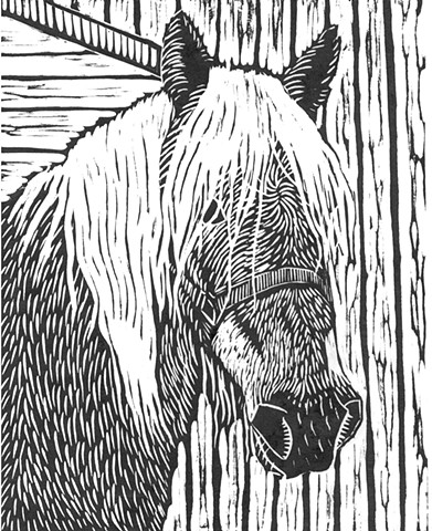 woodcut, Haflinger horse head, horse woodcut 