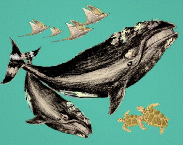 Right Whale Festival 