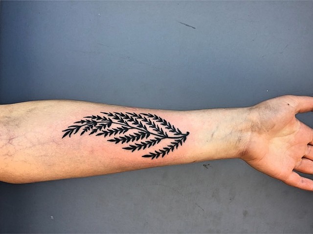 Fern tattoo by Kc Carew at Gold Standard Tattoo in Bend, OR.