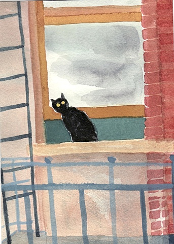 A black cat peers curiously out a window in a San Francisco apartment.