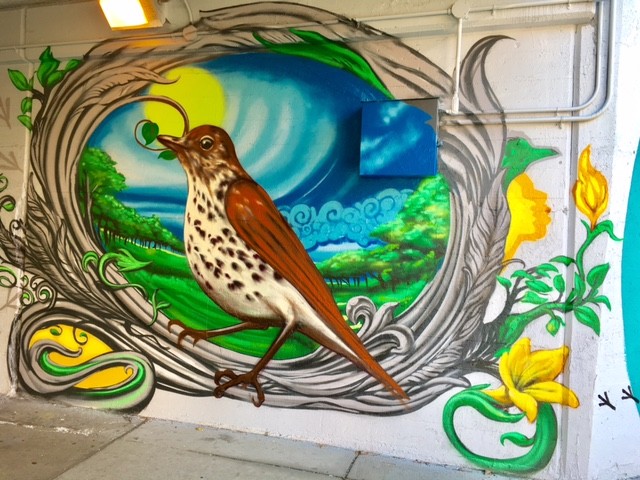 2016: Audubon Mural Project