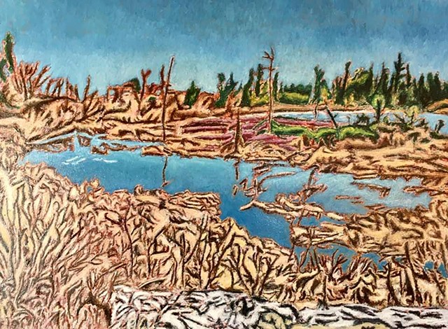 Jeff Loxterkamp, Norse Pond, Bog Brook preserve, cutler, Oil on Canvas, Deer Isle Maine