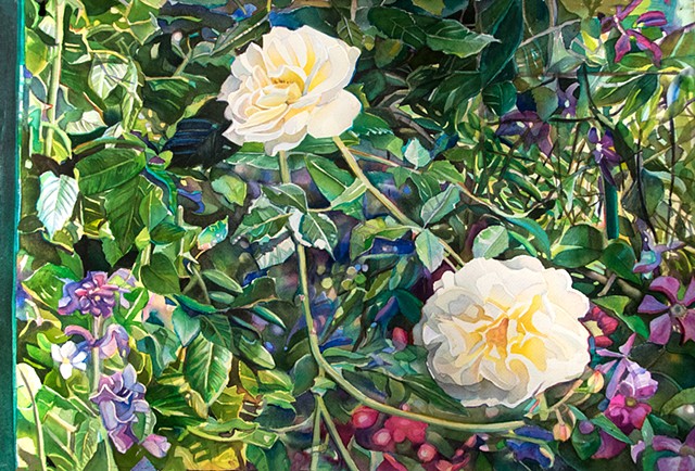 Marjorie Glick, Roses and Clematis, watercolor, Maine, Stonington, Deer Isle, Blue Hill