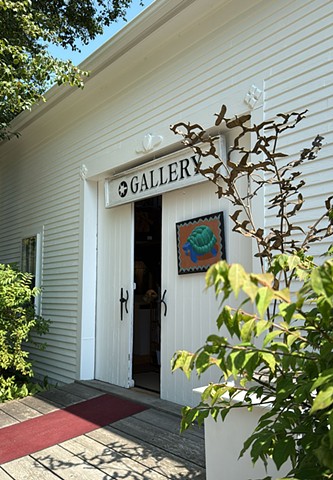 The Turtle Gallery