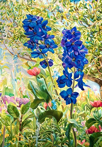 Marjorie Glick, Delphinium extra blue, Deer Isle, Maine, Watercolor, Maine Coast