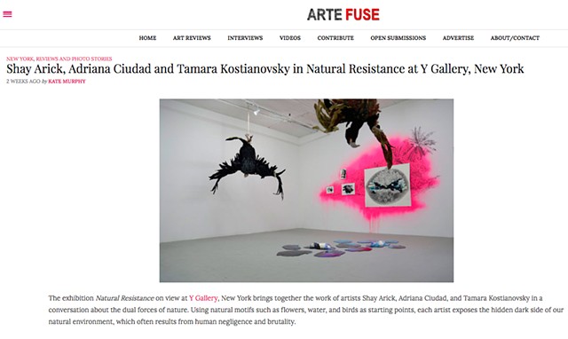 Arte Fuse Reviews Natural Resistance at Y Gallery