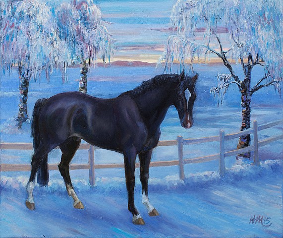 Dark horse in winter